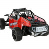 Радиоуправляемая багги Himoto Dirt Wrip 4WD 2.4G 1/10 RTR артикул E10DB