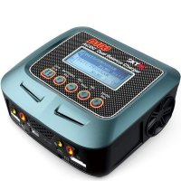 Двухканальное зарядное устройство SkyRC D100 артикул SK-100089