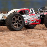 HPI-101705-1.jpg