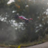 Радиоуправляемая автомодель багги ARRMA Typhon (Red) 6S 1/8 BLX V2 4WD WATERPROOF (влагозащита) артикул AR106001
