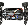MV12601-3.jpg