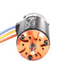 Электродвигатель бесколлекторный SkyRC 1/8 ТОРО X8 Buggy BL Motor (2400KV Sensorless) артикул SK-400010-01